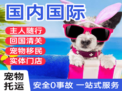格尔木机场托运国际宠物托运 【国